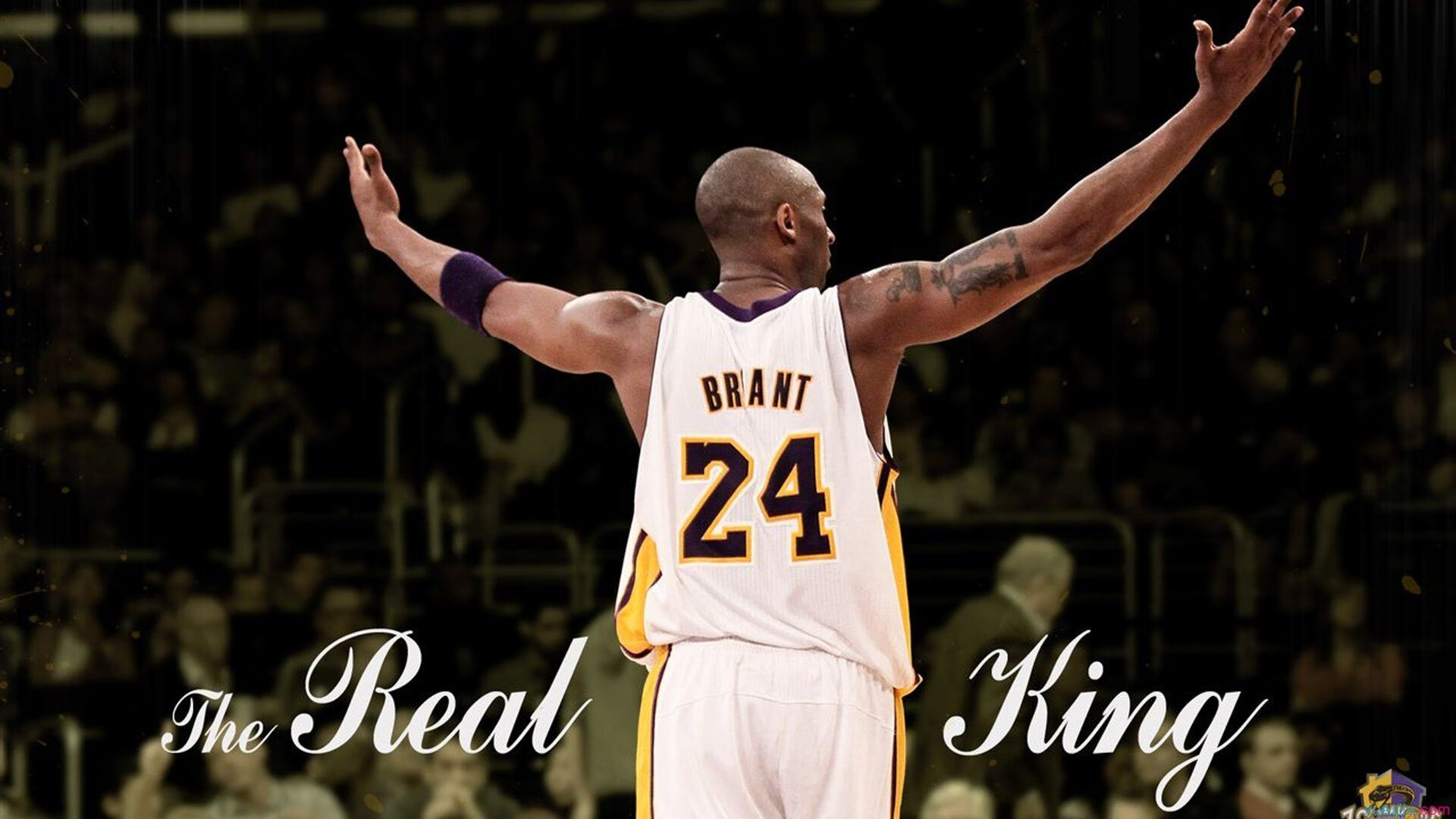 全国青少年“绿色行动”篮球公益赛在青海拉开帷幕，倡导环保运动